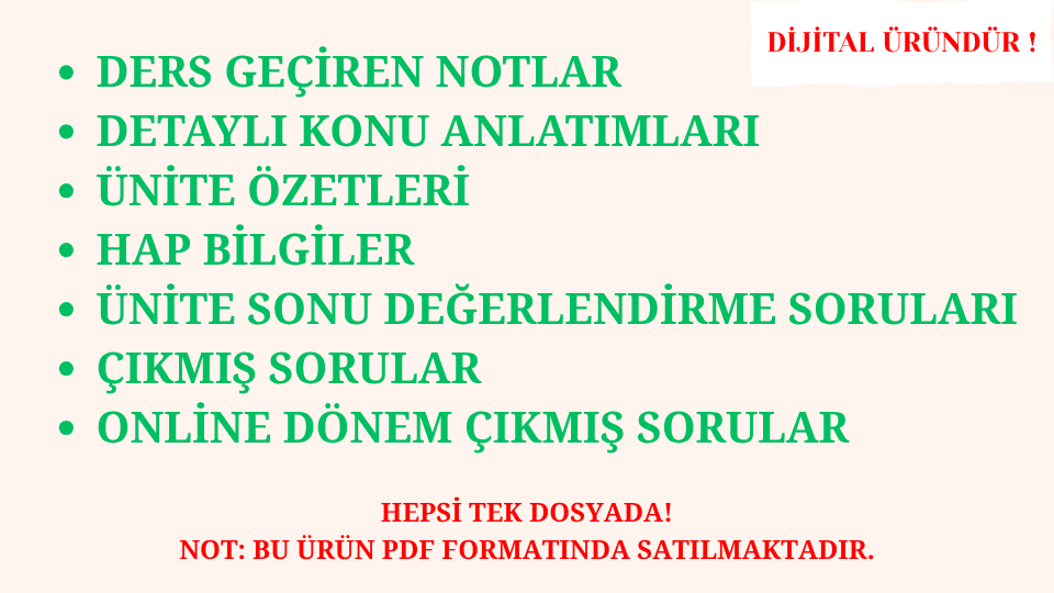 Fransızca 6